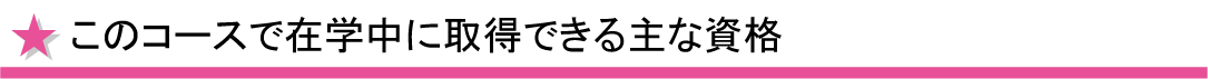 このコースで在学中に取得できる主な資格